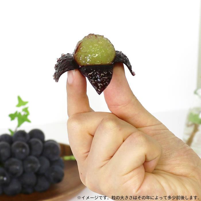 ぶどう 巨峰 山梨県産 送料無料 農家直送 種なしブドウ 巨峰6kg箱 (10