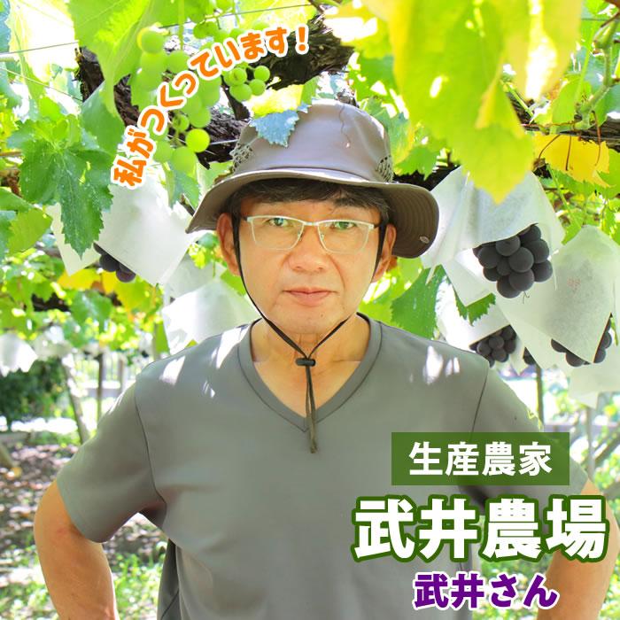ぶどう 巨峰 山梨県産 送料無料 農家直送 種なしブドウ 巨峰6kg箱 (10