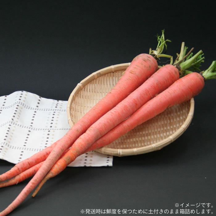 にんじん 大塚にんじん 2kg 山梨県 市川三郷産 長いニンジン 高い栄養