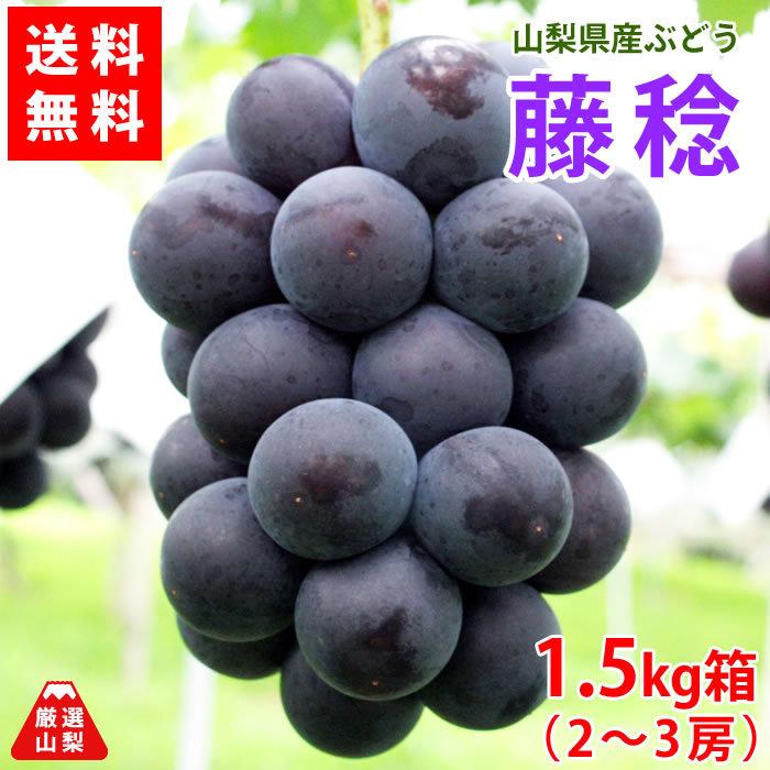 ぶどう 藤稔 山梨県産 送料無料 農家直送 種なしブドウ 大粒品種 藤稔