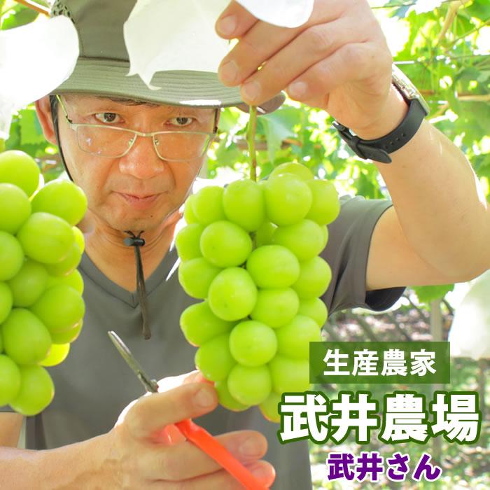 山梨県産　シャインマスカット カップ5個セット　一個約400g入り 楽天市場】【送料無料】 山梨県産 シャインマスカット 秀品 350