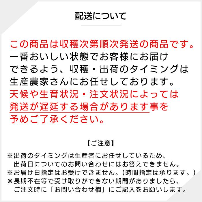 ぶどう ピオーネ 山梨県産 送料無料 農家直送 種なしブドウ 高級品種 ピオーネ2kg箱 （3〜4房）｜shopvision｜09