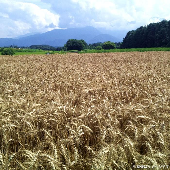 ほうとう 山梨県 ご当地グルメ ご当地麺 かぼちゃほうとう 2人前 横内製麺｜shopvision｜04