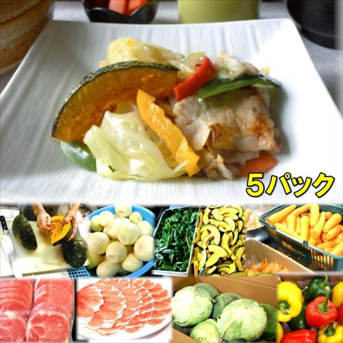 具たくさん肉野菜炒め5パック 惣菜 お惣菜 おかず ギフト おつまみ お試し セット 冷凍 無添加 お弁当 詰め合わせ 食品 煮物 惣菜レストラン わくわく 通販 Yahoo ショッピング
