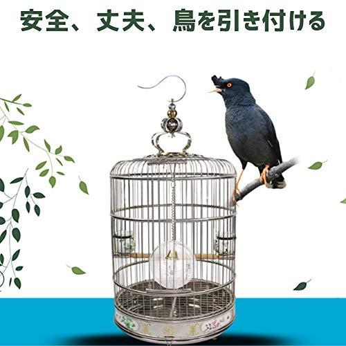 バードフィーダー 鳥用 給餌器 鳥の餌箱 バード食器 餌台 ボールおもちゃ 吊り下げ 鈴付き 取り外し可能 お手入れ簡単 贈り物 環境に優しい S 0624 Shopwin Win 通販 Yahoo ショッピング