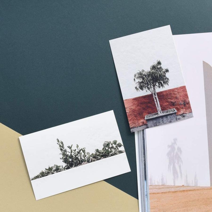 超ポイント祭 期間限定 諸木の桑抹茶３袋 身体にやさしいオーガニック 鹿児島 鹿児島県 鹿児島県大崎町 お取り寄せ 有機 有機栽培 茶 お茶 桑茶 大崎町 大崎 桑の葉茶 桑の葉 くわ茶 国産 オーガニックティー オーガニック 九州 お土産 支援 健康茶 健康 飲料 支援品