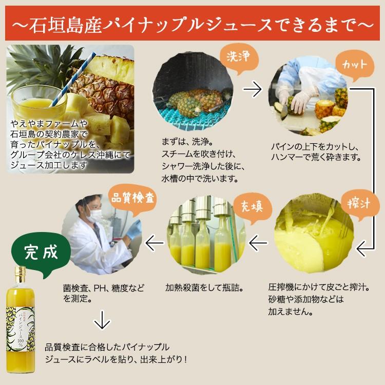 沖縄県石垣島産 パイナップル ジュース 果汁100% 900ml 1本 : やえやま