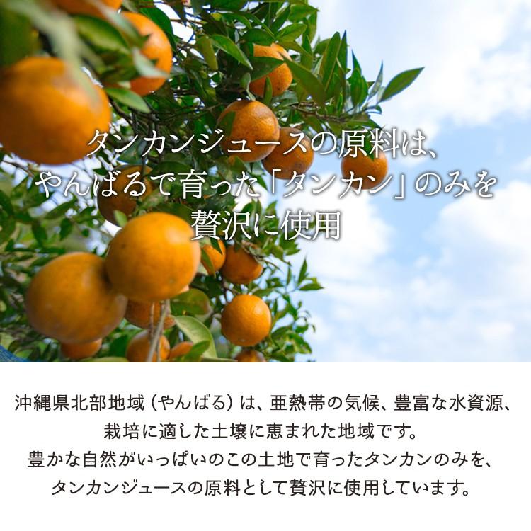 沖縄県やんばる産贅熟タンカンジュース&大宜味村産青切シークヮーサージュース 500ml  2本セット ギフト箱入り 国産 贈答 内祝 母の日 父の日 お中元 お歳暮｜shopyaeyama｜05