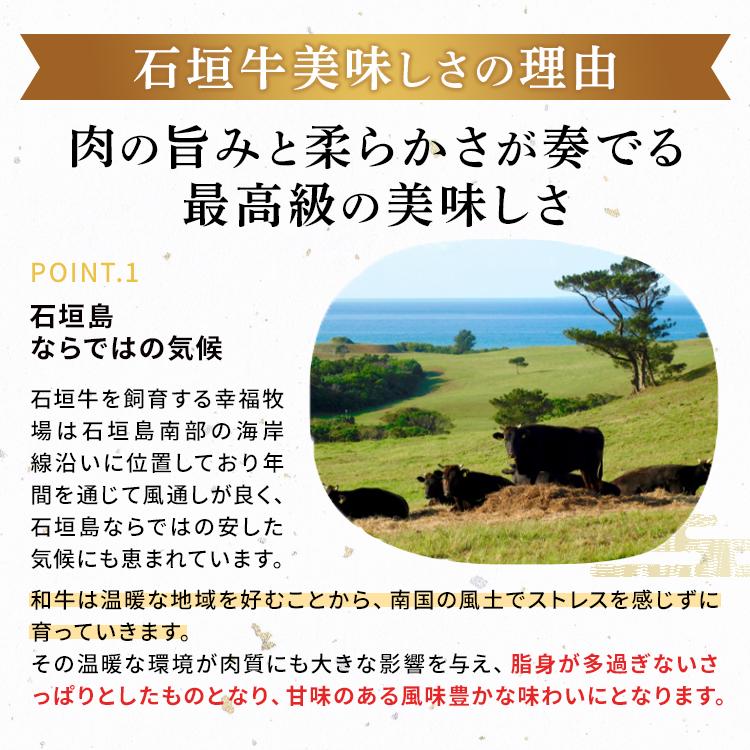 沖縄県産黒毛和牛 石垣牛ハンバーグ 【120g×6個】 ギフト箱入り 高級 豚肉 ギフト 贈り物 高級 贈答 内祝 お返し 人気 父の日 お中元 お歳暮 母の日｜shopyaeyama｜06