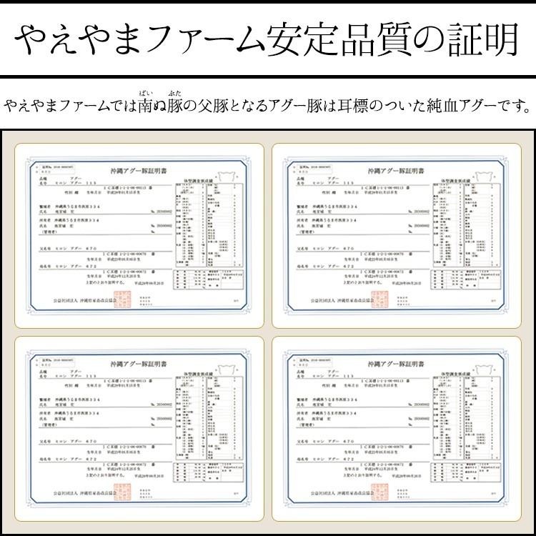 【送料無料】お得 石垣島産アグー豚 南ぬ豚 切り落とし ロース バラ 小分け 1kg BBQ 国産 沖縄  贅沢 とろける 旨み ヘルシー 日常使い｜shopyaeyama｜09