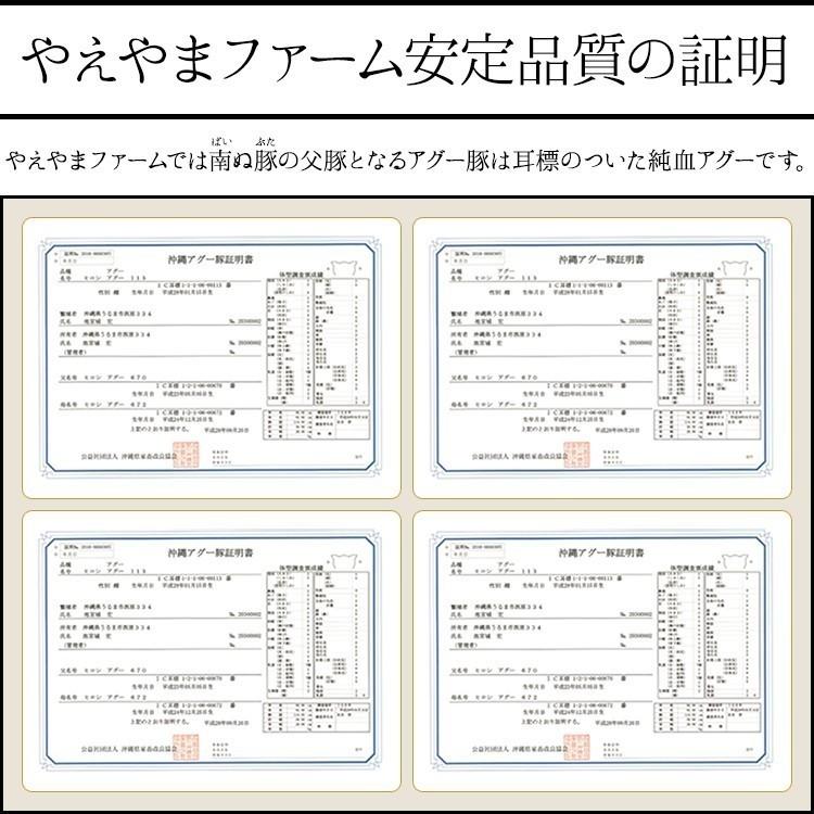 石垣島産アグー豚 南ぬ豚 しゃぶしゃぶ用 2人前セット600g 国産 沖縄 希少 贅沢 おとりよせ 贈答 内祝 お返し ギフト 贈り物 母の日 父の日 お中元 お歳暮｜shopyaeyama｜15