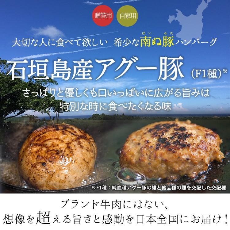 61 Off 南ぬ豚 ハンバーグ 6個セット 豚肉 国産 アグー豚 ギフト 沖縄 希少 贅沢 とろける 旨み 極上 お取り寄せ 母の日 父の日 お中元 お歳暮 Cisama Sc Gov Br