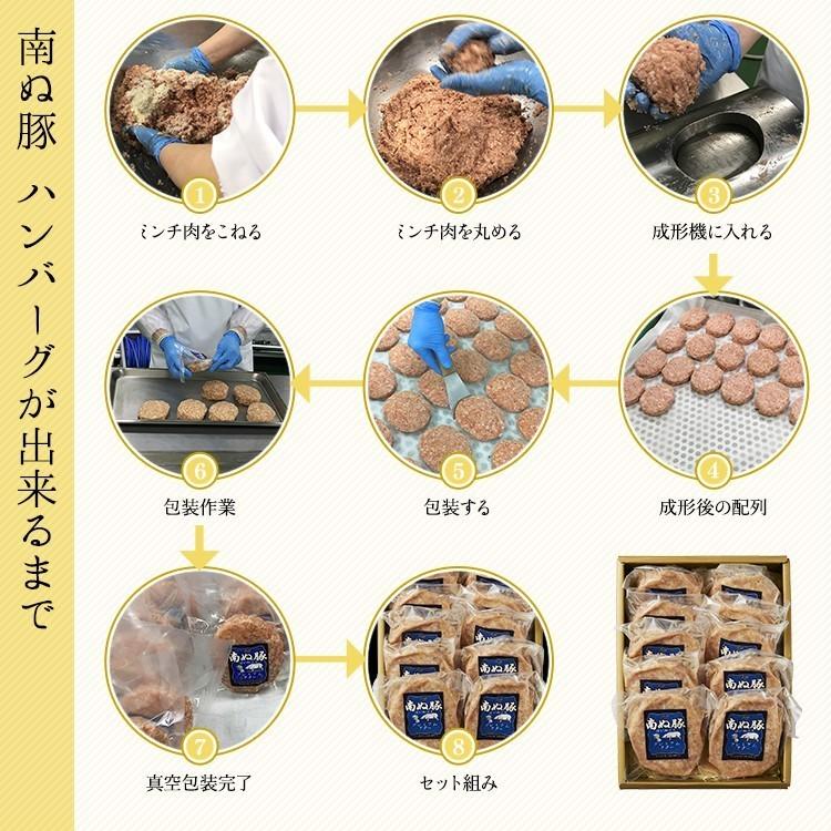 61 Off 南ぬ豚 ハンバーグ 6個セット 豚肉 国産 アグー豚 ギフト 沖縄 希少 贅沢 とろける 旨み 極上 お取り寄せ 母の日 父の日 お中元 お歳暮 Cisama Sc Gov Br