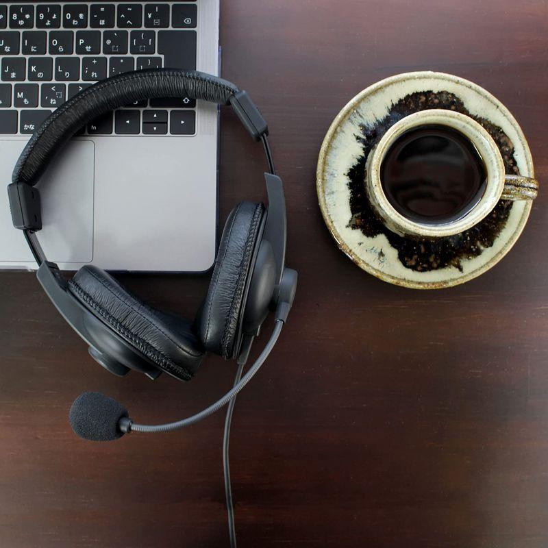 SOUND WARRIOR 本格派 高性能マイク搭載 密閉型 本格派ヘッドホン 音楽鑑賞 オンライン ゲーム ゲーミング プロ仕様ヘッドセッ WARRIOR 本格派 高性能マイク搭載 密閉型 本格派ヘッドホン 音楽鑑賞 オンライン ゲーム ゲーミング プロ仕様ヘッドセッ