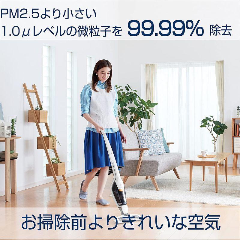 エレクトロラックス（electrolux） エルゴラピード・リチウム ベーシック アイロングレー ZB3301 electrolux エルゴラピード リチウム ベーシック アイロングレー ZB3301