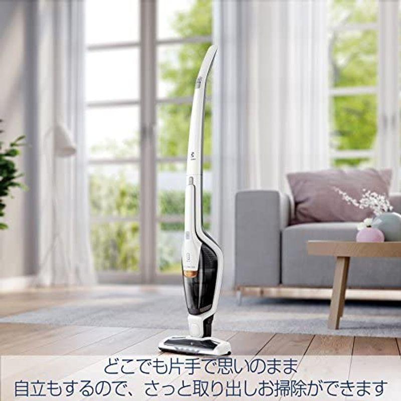 エレクトロラックス（electrolux） エルゴラピード・リチウム ベーシック アイロングレー ZB3301 electrolux エルゴラピード リチウム ベーシック アイロングレー ZB3301