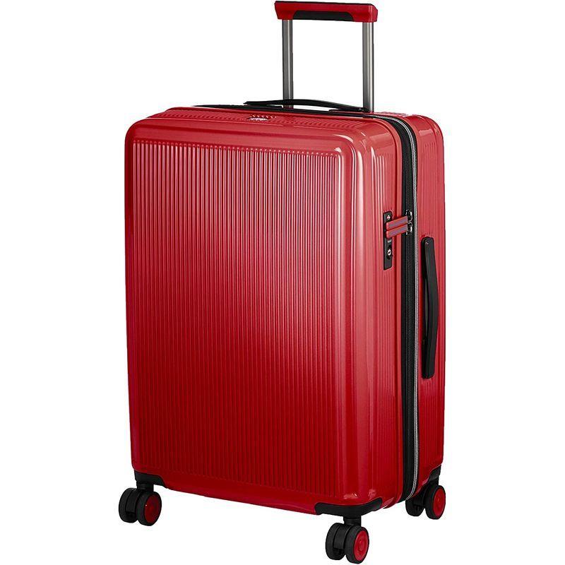 超安い ジェニュインディッキーズ アイコンキャリーm 17 12 53l 40 Cm 3 6kg レッド