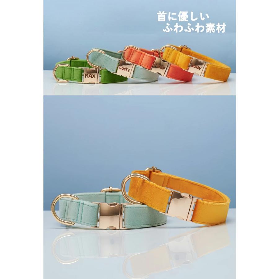 猫 犬 首輪 名入れ ふわふわ リードセット XS〜L サイズ【送料無料