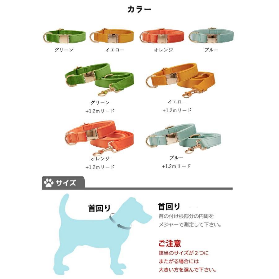 猫 犬 首輪 名入れ ふわふわ リードセット XS〜L サイズ【送料無料