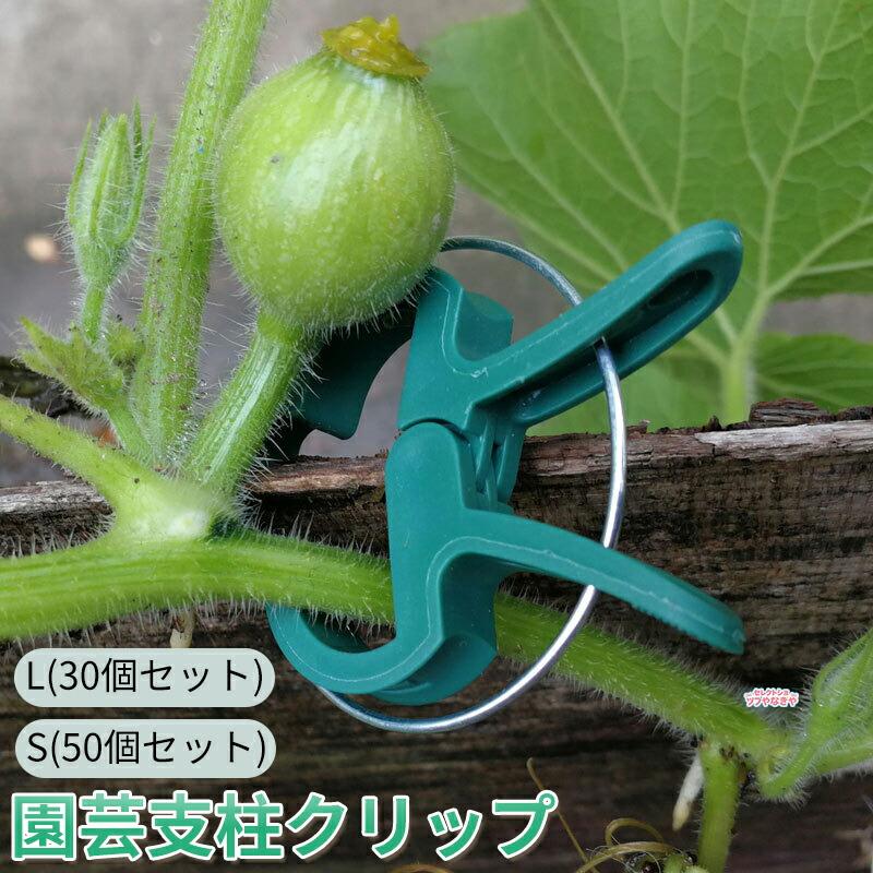 園芸 支柱クリップ 誘引クリップ 支柱リング 植物固定 繰り返し使える
