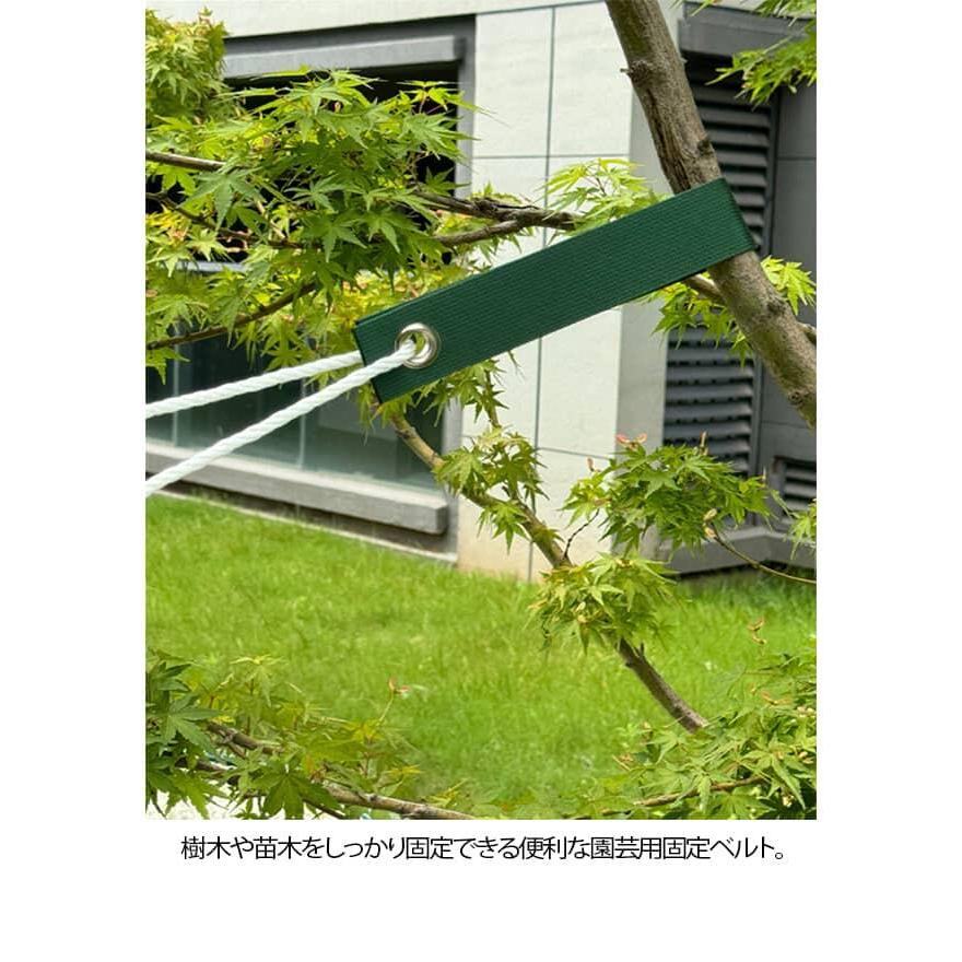 10本セット】園芸固定ベルト 支柱固定バンド 樹木固定ベルト 結束