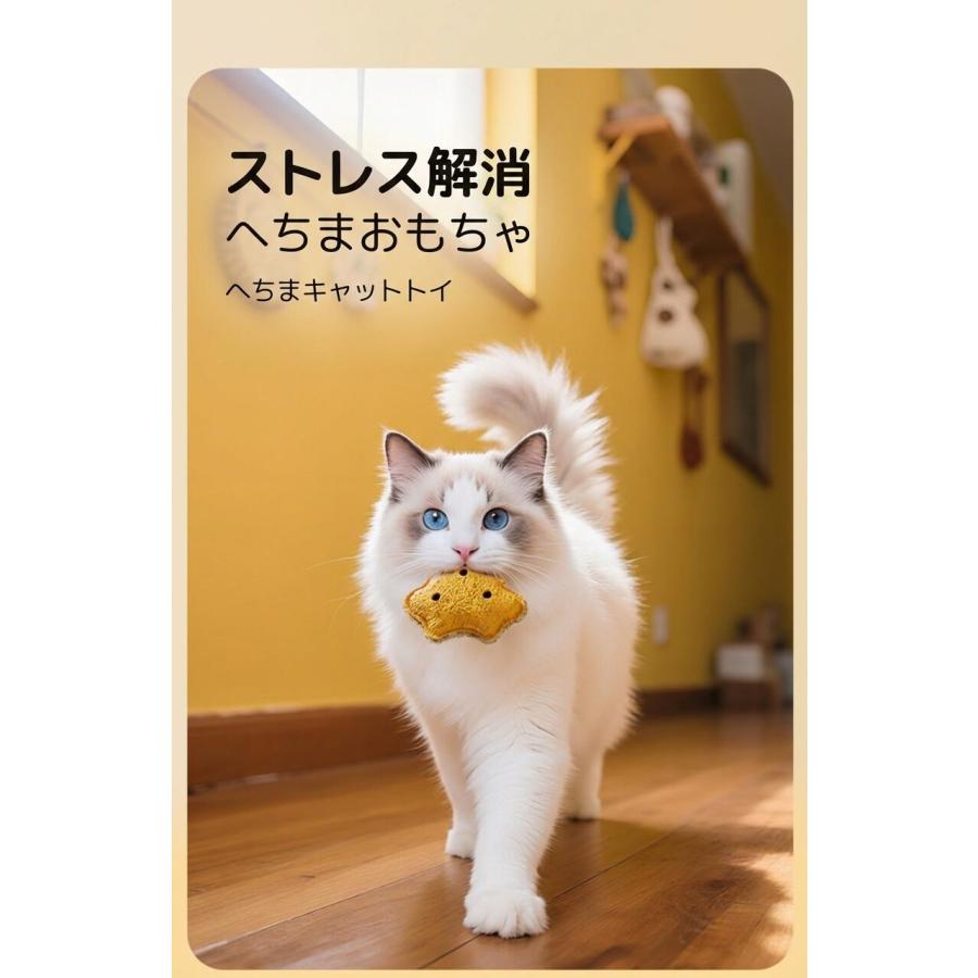 ねこまたの実2袋　スチームブラシ　猫じゃらし セット 猫じゃらし ねこじゃらし 猫おもちゃ 食パン型 ヘチマ素材 純天然 噛む