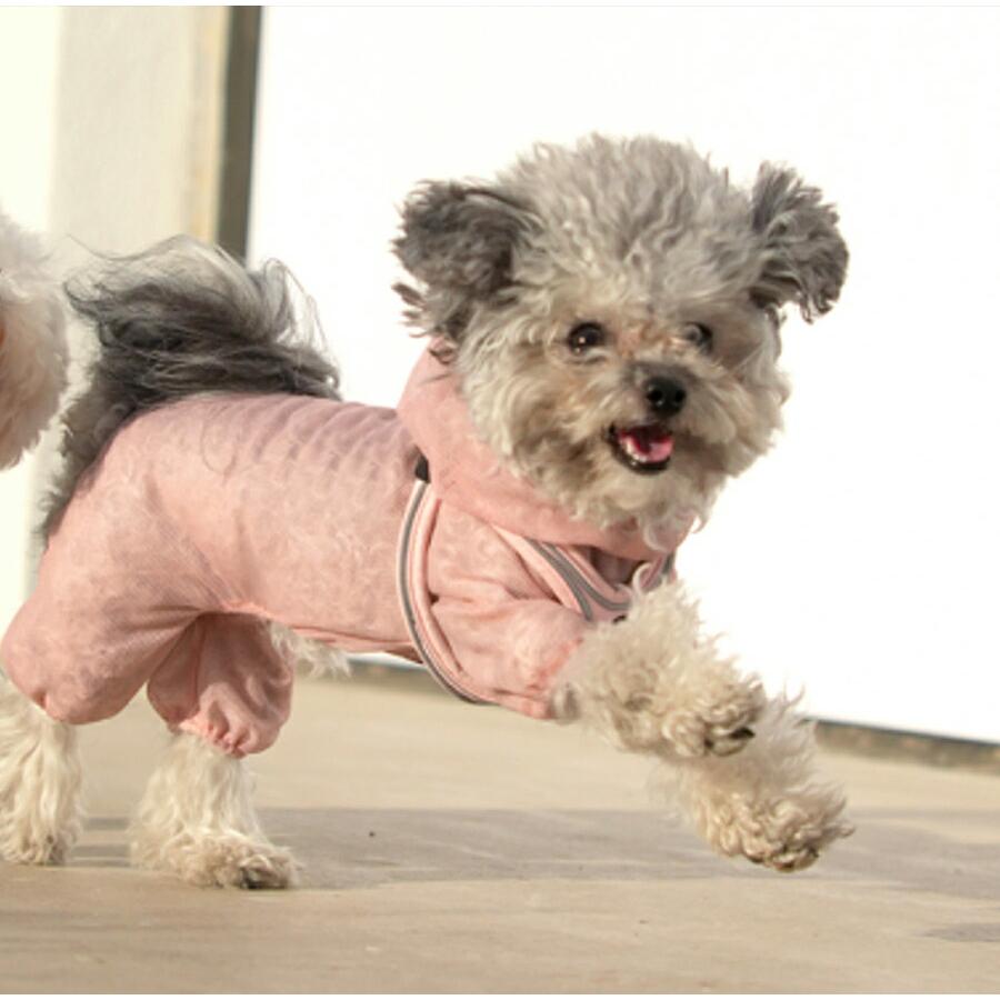 犬服 ドッグウェア メッシュロンパース つなぎ カバーオール 防虫 虫よ
