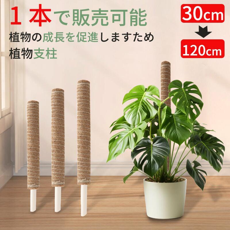 植物支柱 モンステラ支柱 ココスティック 園芸支柱 観葉植物支柱 つる