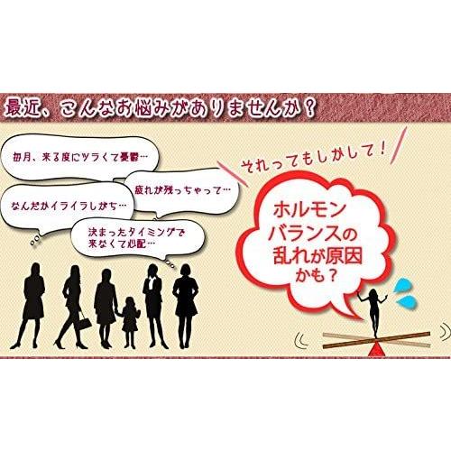 ウーマンバランスブレンド お徳用100g ホルモンバ ランス 生理不順 ウーマンティー Opms ハーブティー 体のバランスを整える 更年期ハーブブレンド Blendwoman100 ユーン 通販 Yahoo ショッピング