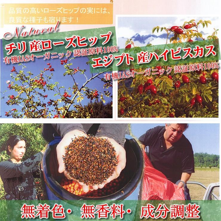 信頼 ローズヒップ ハイビスカスtb 業務用100包入 ハーブティーティーバッグタイプ 有機jas認証原料使用
