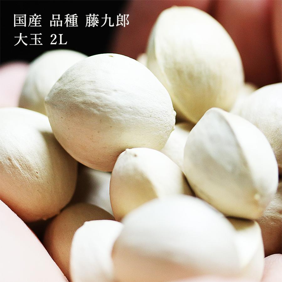 銀杏 殻付き 500g 2025年度新物 銀杏の実 ぎんなん 大玉2L 大分県産