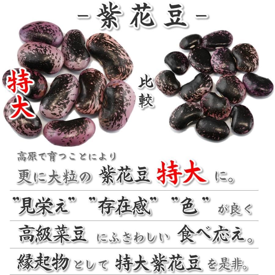 紫花豆特大 業務用1Kg 高原花豆 大粒 国産 むらさきはなまめ 紫花豆特大 業務用1Kg 高原花豆 大粒 国産 むらさきはなまめ