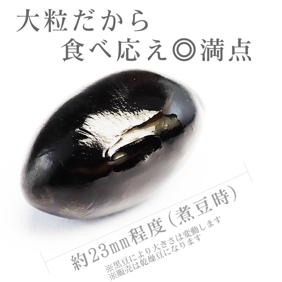 黒豆 丹波種大粒10上 業務用30Kg 岡山県産備中 丹波 国産 乾燥 豆 丹波
