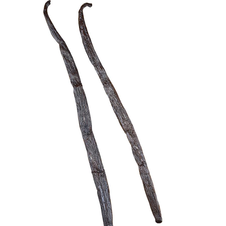 バニラビーンズ ホール 2本入 Aグレード品質 マダガスカル産（長さ16