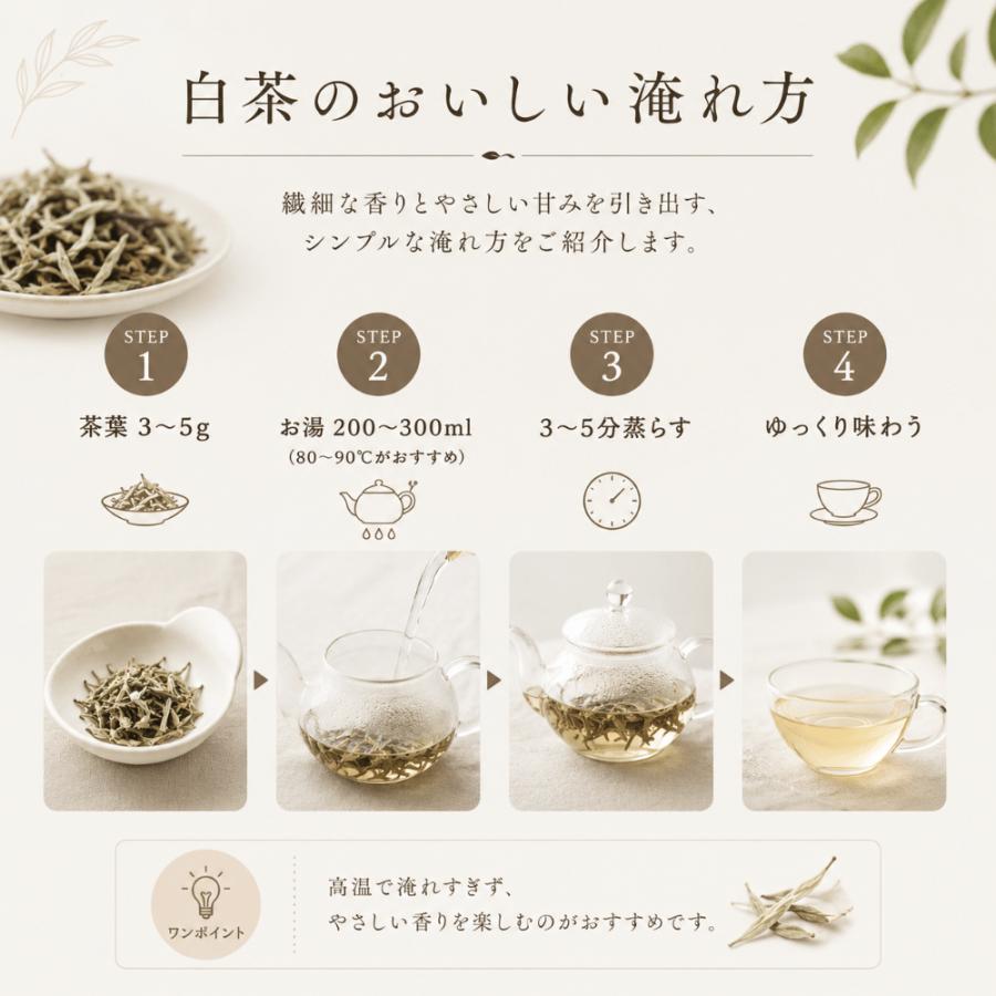 白茶 ホワイトティー 白牡丹茶 業務用1Kg シラチャ お茶 中国茶 茶葉