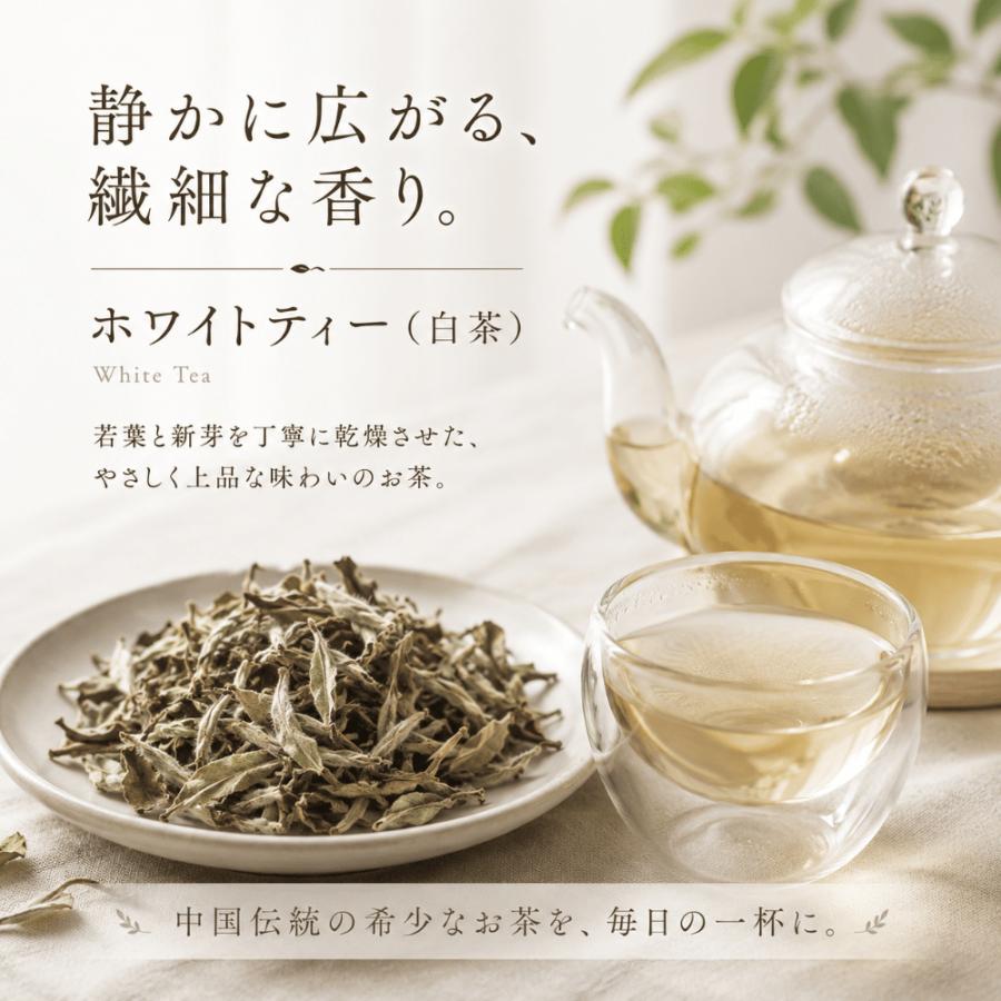 白茶 ホワイトティー 白牡丹茶 50g お茶 中国茶 茶葉 しろぼたん茶 は