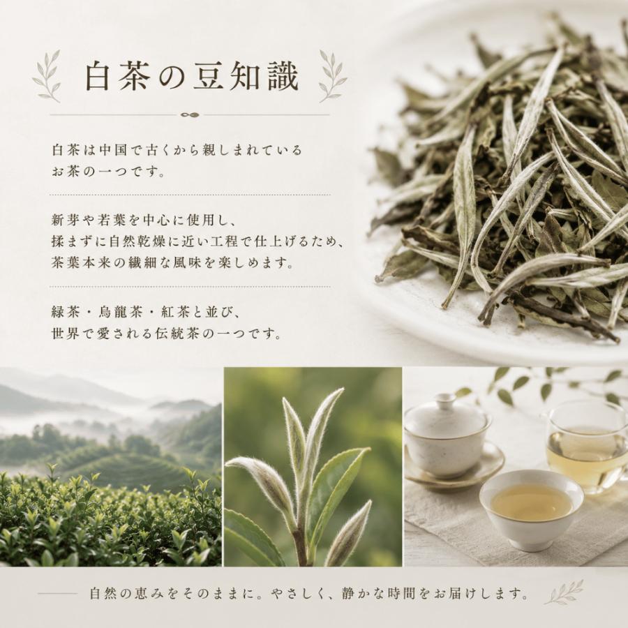白茶 ホワイトティー 白牡丹茶 50g お茶 中国茶 茶葉 しろぼたん茶 は