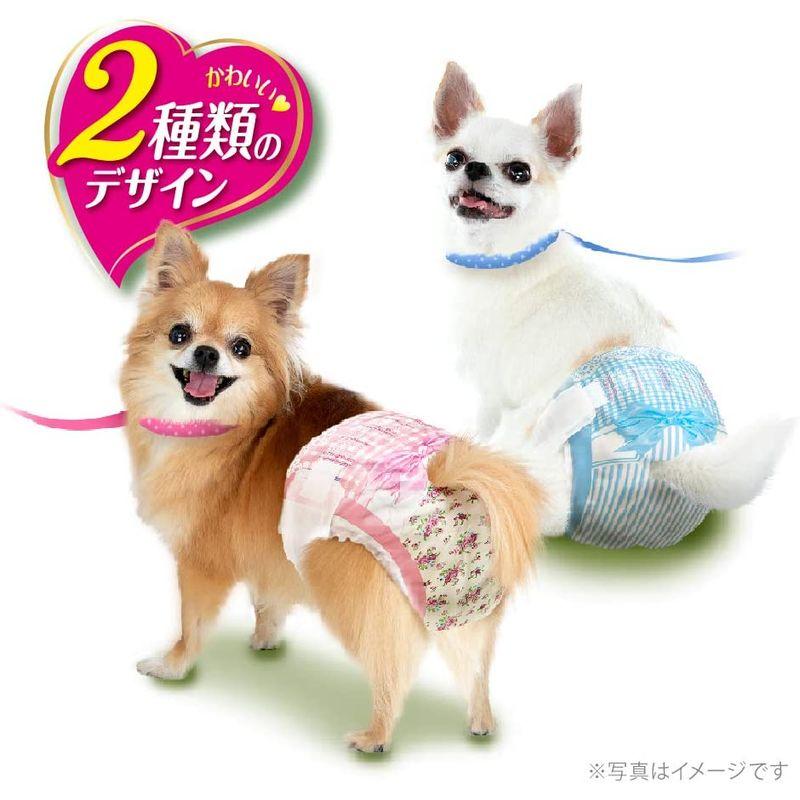 マナーウェア 犬用 おむつ 女の子用 Sssサイズ 超小型犬用 ピンクリボン 青リボン 504枚 42枚 12袋 おしっこ ペット用品