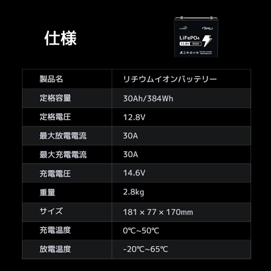 りぽびたん様 LVYUAN 12.8V/100Ah 1.28kWhリン酸鉄リチウムイオンバッテリー