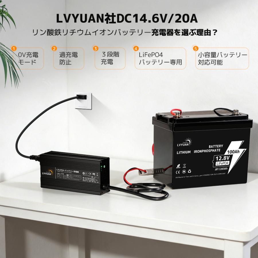 RENOGY AC100V 20A リン酸鉄リチウムイオンバッテリー充電器 LVYUAN 自動バッテリー充電器リン酸鉄リチウムイオンバッテリー専用