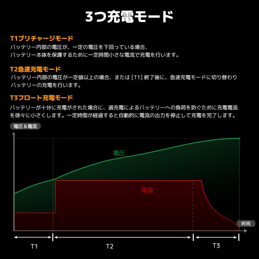 LVYUAN 自動バッテリー充電器リン酸鉄リチウムイオンバッテリー専用 12V 20A LiFePO4 アンダーソン端子付きの画像