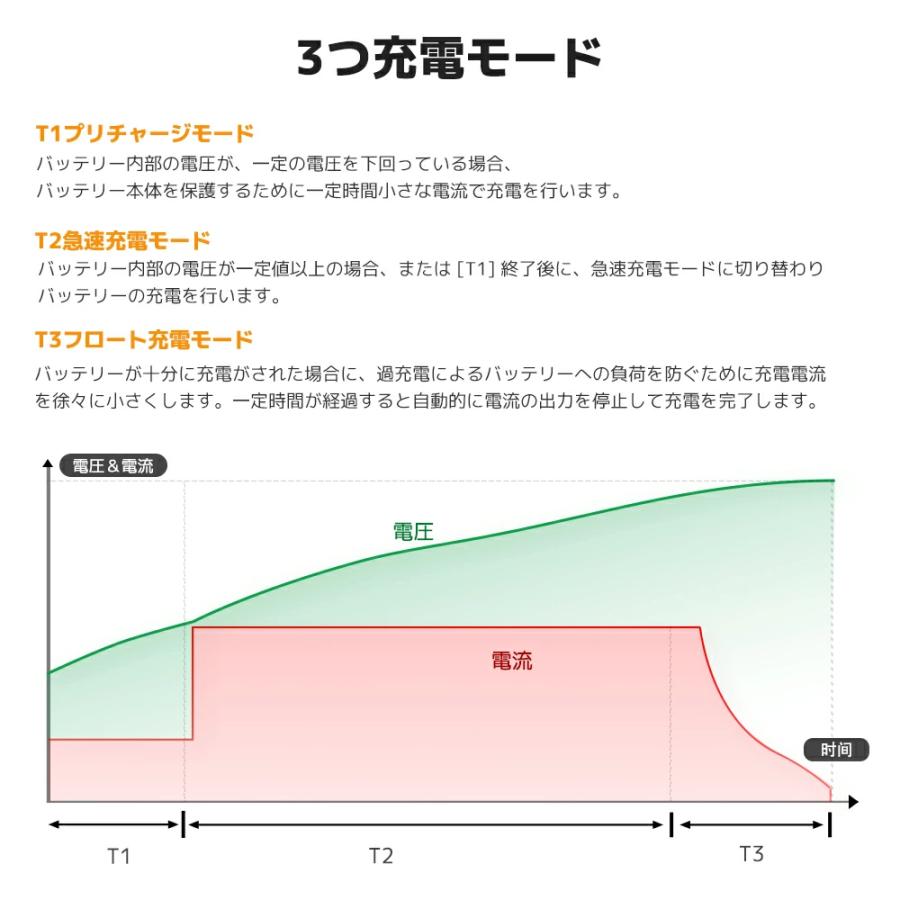 LVYUAN 自動バッテリー充電器 リン酸鉄リチウムイオンバッテリー専用 アンダーソン端子付き 12V 40A LiFePO4の画像
