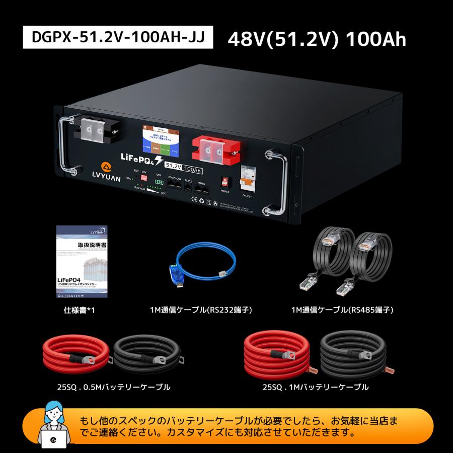 新モデル LVYUAN 51.2V 100AH 5.12kWh LiFePO4 リン酸鉄リチウムイオン 