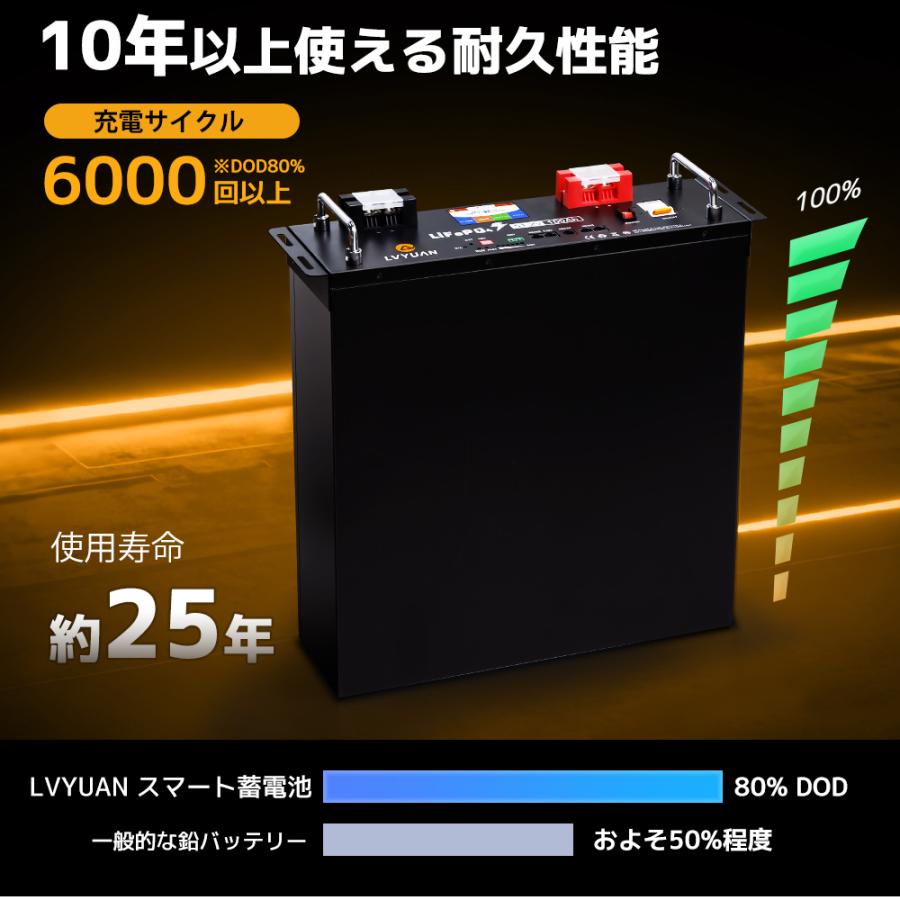 @LVYUAN 100Ah 51.2Vリン酸 リチウムバッテリー LVYUAN 51.2V 100AH 5.12kWh LiFePO4 リン酸鉄リチウムイオン
