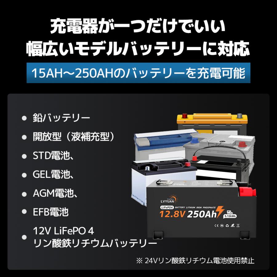 LVYUAN 新登場 全自動パルス充電器 25A 12V/24V鉛電池 12VLiFePO4電池両用 パルス充電器 パルス修復 定格25A全自動 スマート充電 サルフェーション除去の画像