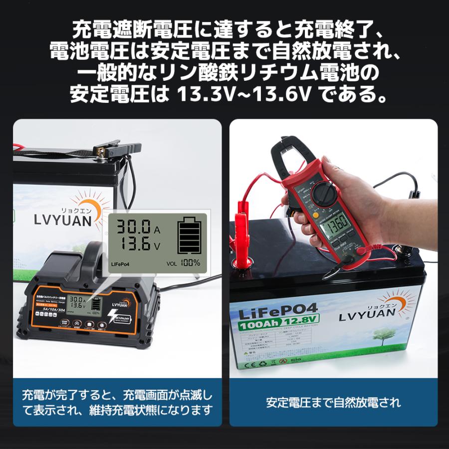 LVYUAN 新登場！全自動パルス充電器 30A 12V/24V鉛/LiFePO4 12V