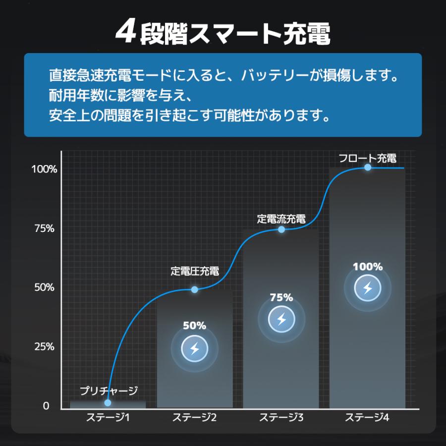 LVYUAN 新登場！全自動パルス充電器 30A 12V/24V鉛/LiFePO4 12V