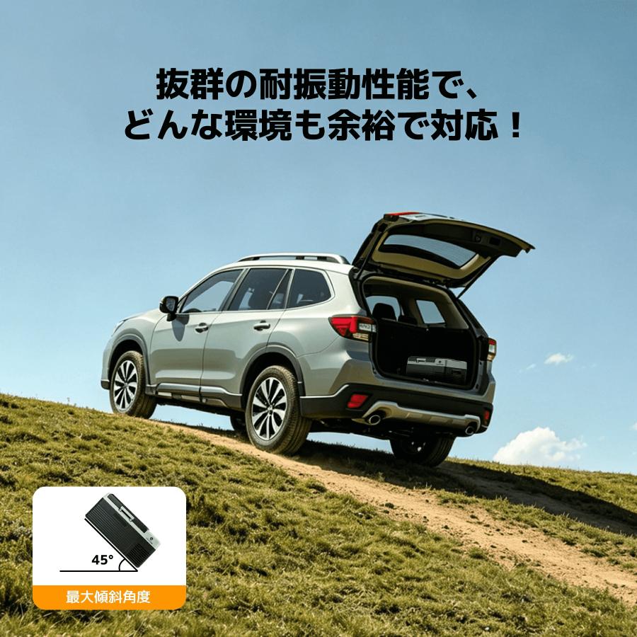 LVYUAN 車載冷蔵冷凍庫 9L /18L 小型 -20℃〜20℃ 車載家庭両用 AC/DC