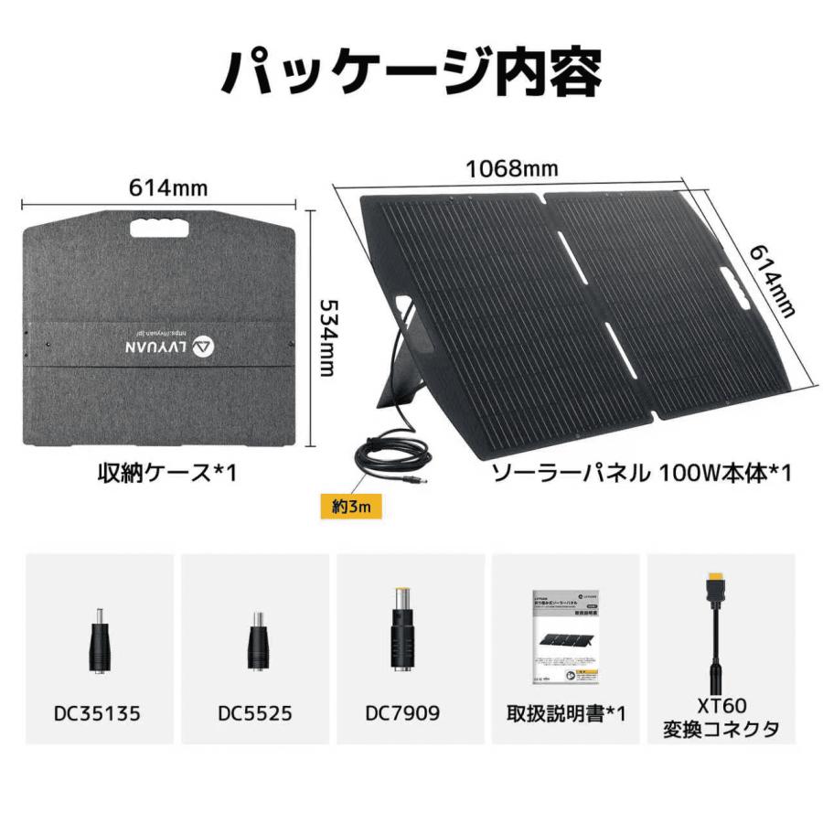 LVYUAN ソーラーパネル 折り畳み式 100W/200W*300W/400W ETFE 単結晶