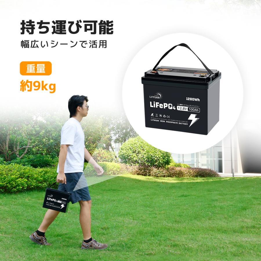 LVYUAN LiFePO4（リン酸鉄リチウム）電池 コンパクトモデル リン酸鉄